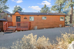 Forest Edge Retreat - Cozy, log cabin with a wood burning fireplace! Pool Table, Foosball and Darts!